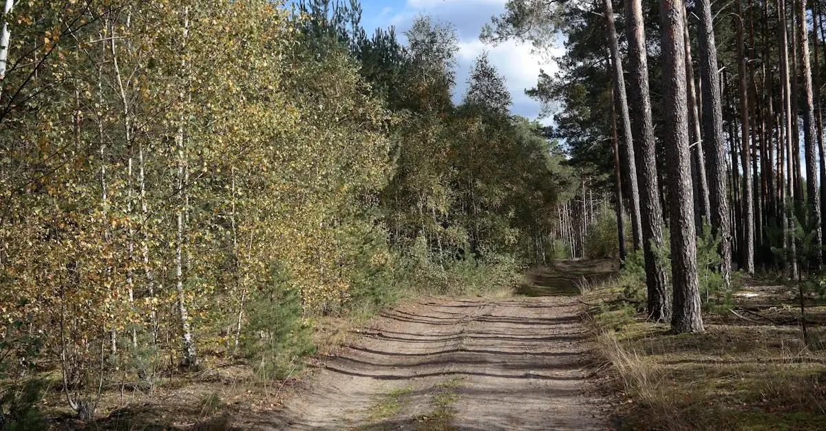 Ecologisch hoveniersbedrijf
