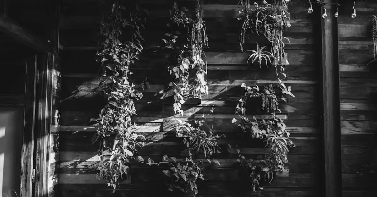 Tuinplant hangend