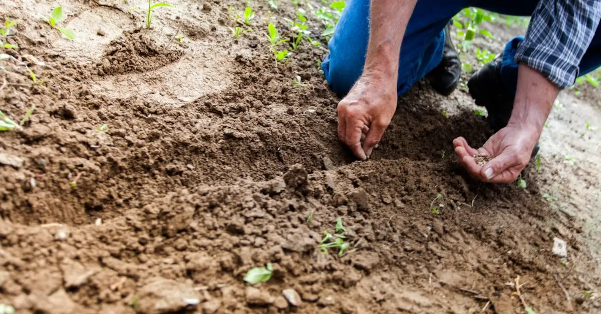 Natuurlijk tuinieren moestuin