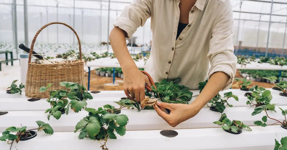 Tuinbouwfocus op duurzaamheid en techniek zet toon voor jouw tuinplezier