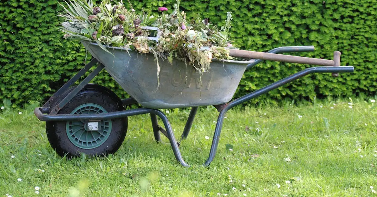 Tuin n