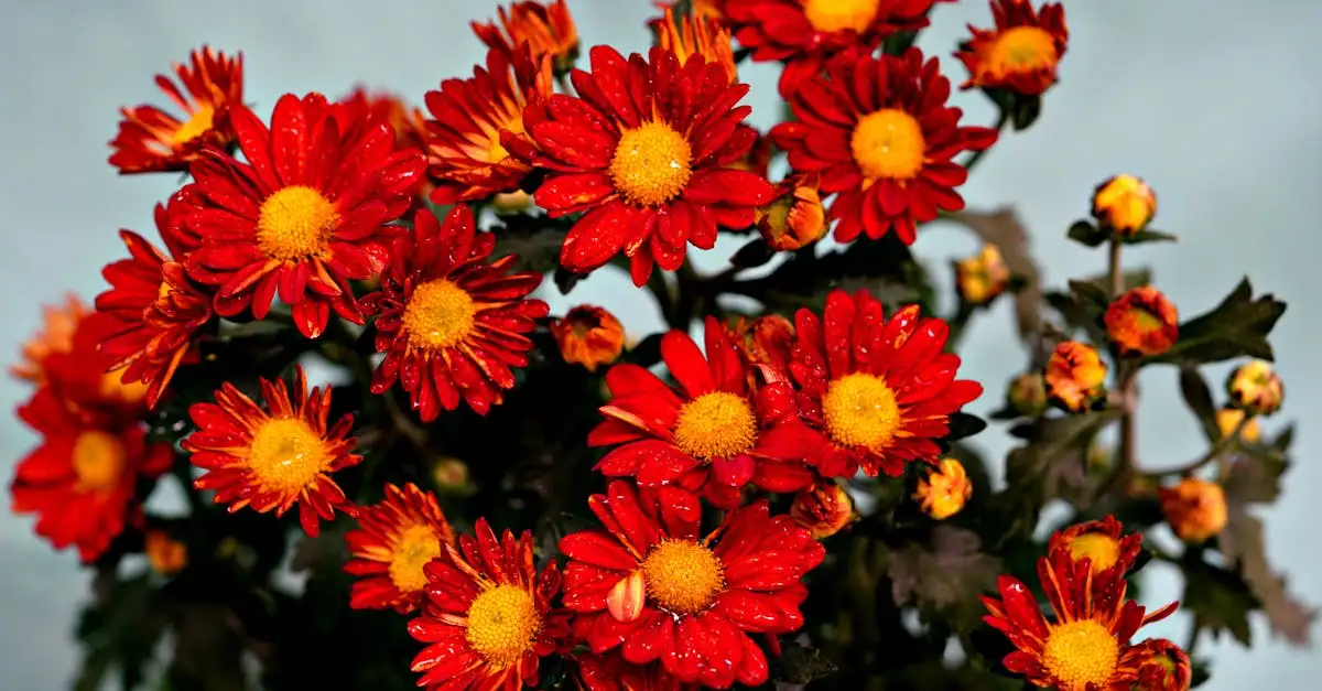 Tuinplanten kopen in Friesland | Ruim assortiment