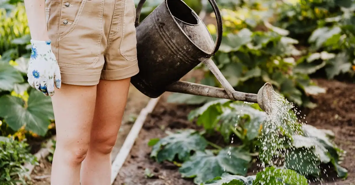 Paarse bloemen in de tuin: vaste planten en verzorging.