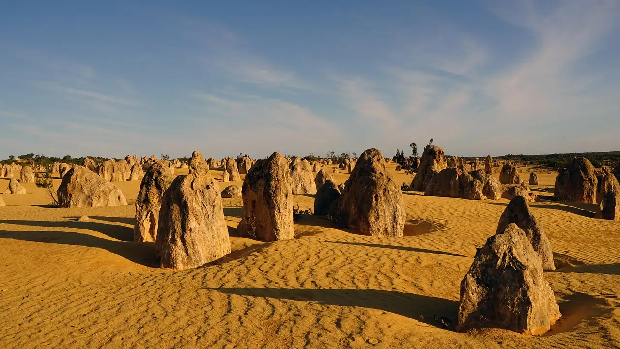 Tuinplanten met weinig water: ervaringen en tips