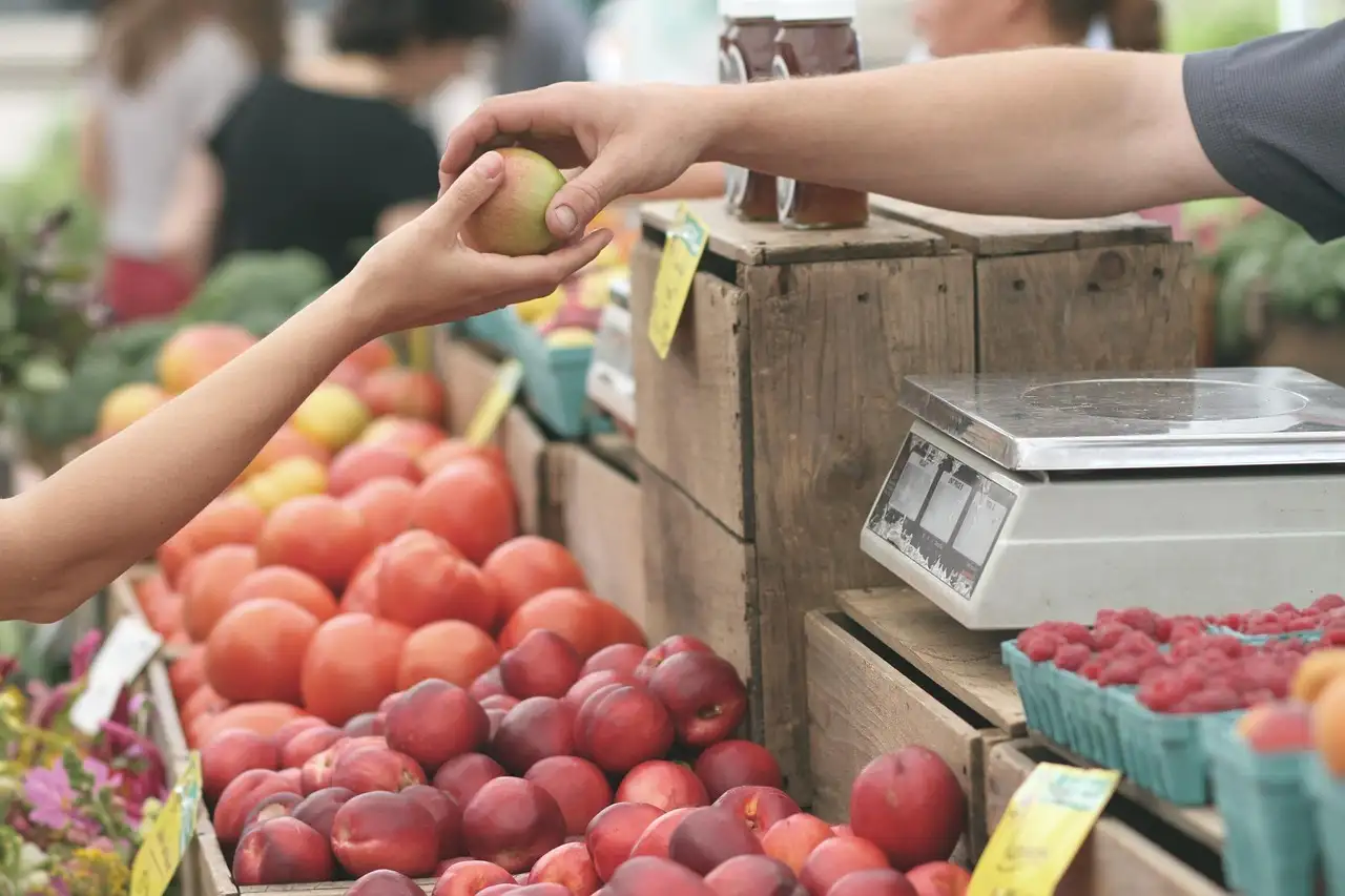 Tuinplanten winkel Uddel kopen | Breed assortiment