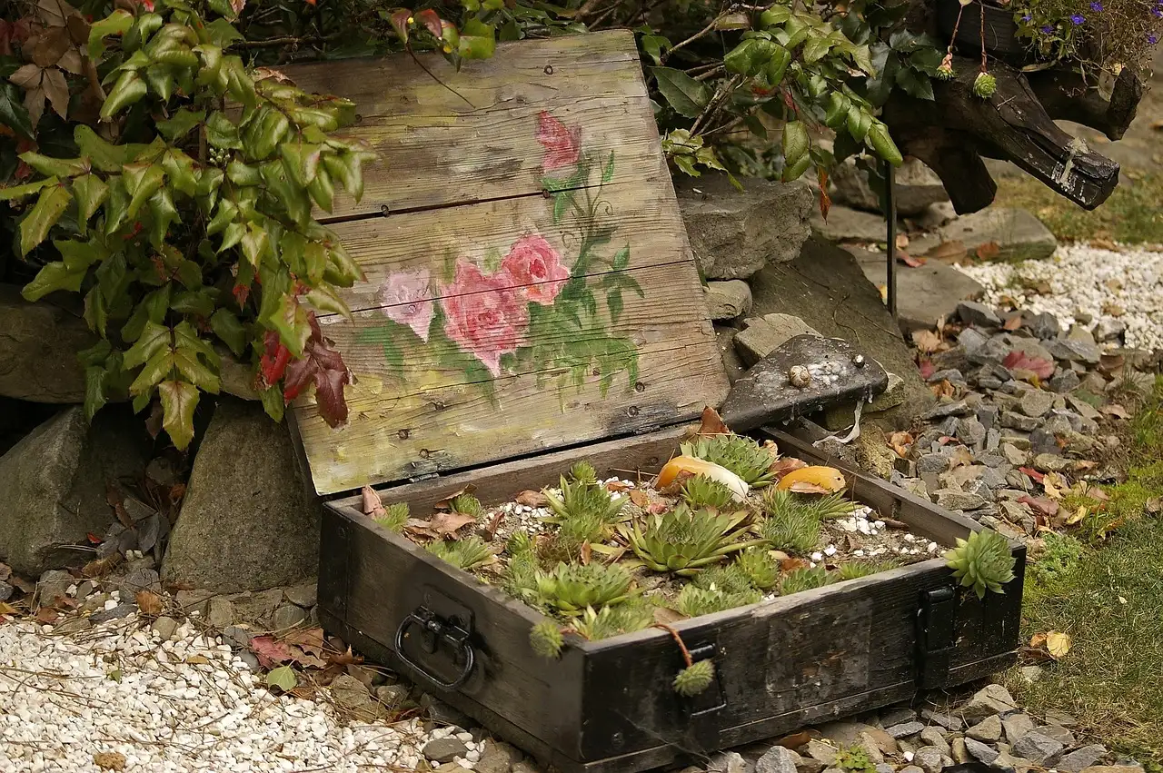 Welke tuinplant heeft weinig water nodig